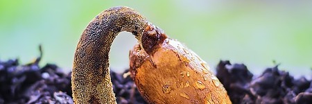 Energie update Geel Zaad levenspad 7 - 19 Mei 2021: Ruimte maken voor de toekomst